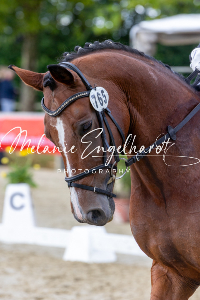 7I8A3796 | melanie-engelhardt-photography - Realisiert mit Pictrs.com