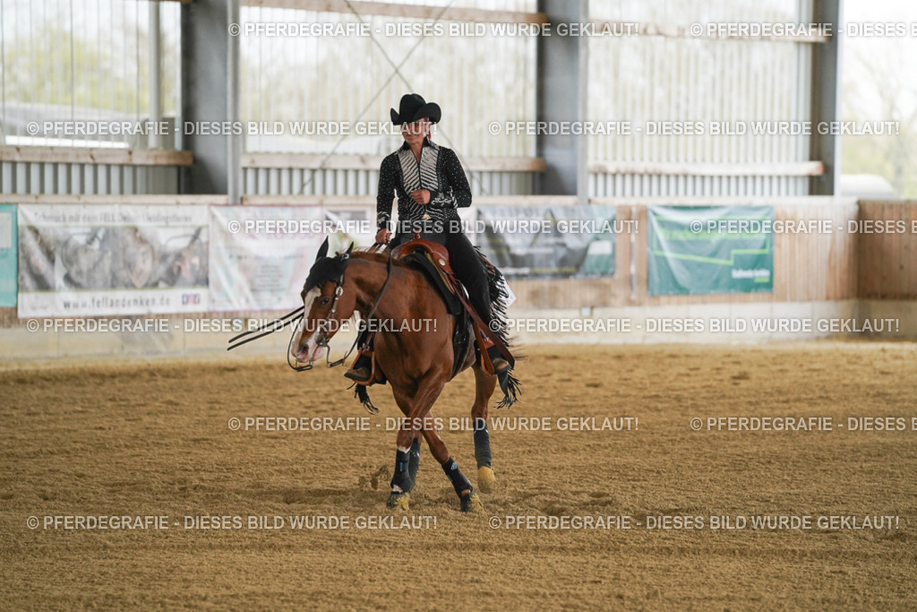 DSC07175 | Pferdegrafie