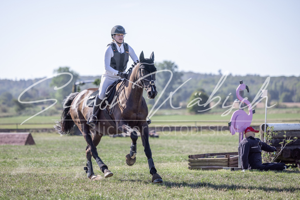 20260906-_3LI2288 | Tierfotografie Pferde, Hunde, Katzen, Haustiere.
Turnierfotografie Reitturniere, Reiten, Springreiten, Dressur in Hanau, dem Main-Kinzig-Kreis und dem Rhein-Main- Gebiet um Frankfurt