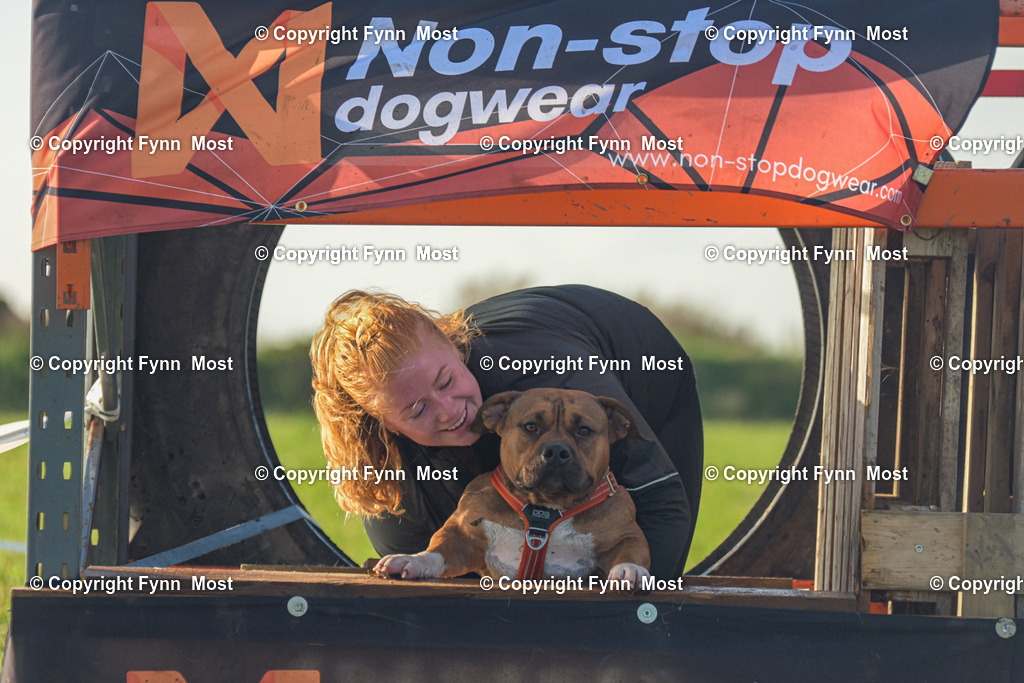 DSC_0325 | Hallo und herzlich Willkommen auf meiner Shop-Seite Fynn Most.

Ich wünsche Dir viel Spaß beim stöbern durch die Bilder, wenn Du Fragen hast oder Bilder vermisst, kannst du mir gerne eine Nachricht schreiben. - Realized with Pictrs.com