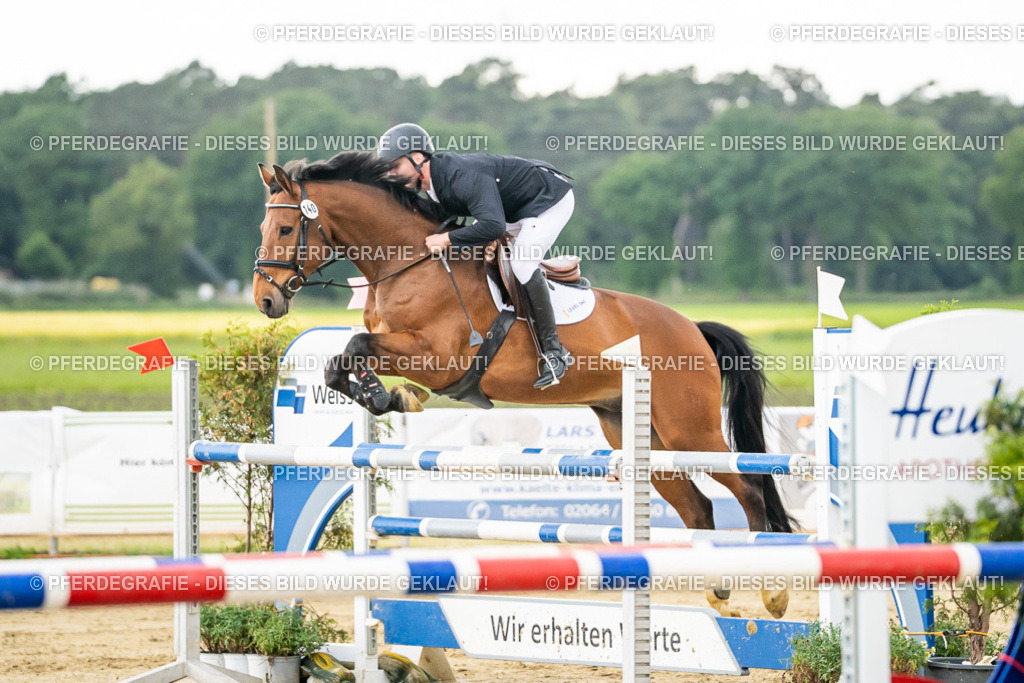 DSC06605 | Pferdegrafie