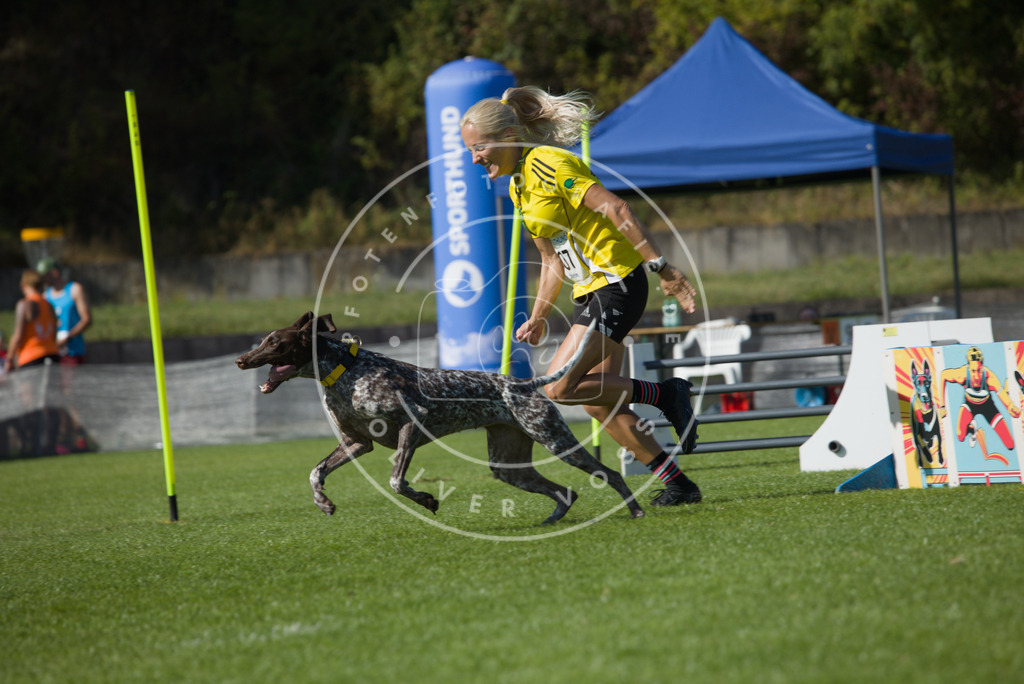 0L8A8457 | Hundefotografie, Tierfotograf, Pfotenfotografie, Fotoshooting Hund, Hunde Portrait, Hundesport, Hundeportraits, Heideshooting, Hunde, Sportfotograf, Hundefotograf, Turnierhundsport, THS,  - Realisiert mit Pictrs.com