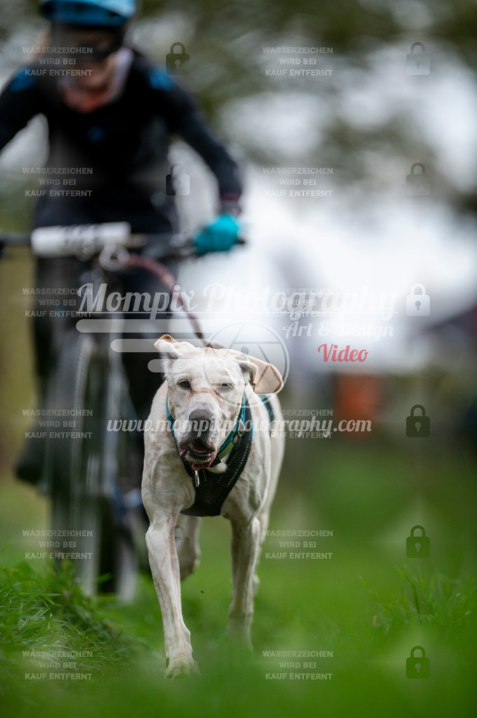 TSB_2023_E8_Bike-41 | PayLife