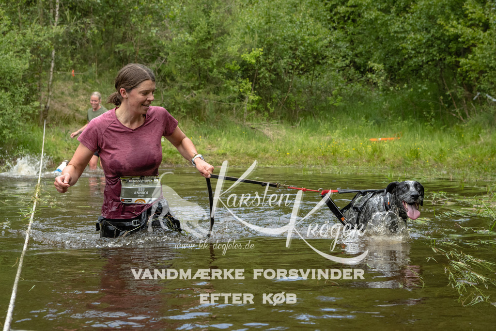 1104DKK994039 | kk-dogfotos