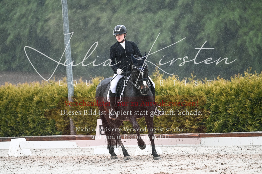 DSC_4667 | Pferde- und Turnierfotografie in Westsachsen. Pferdeportraits, Auftragszeichnungen und intuitive Kunst.