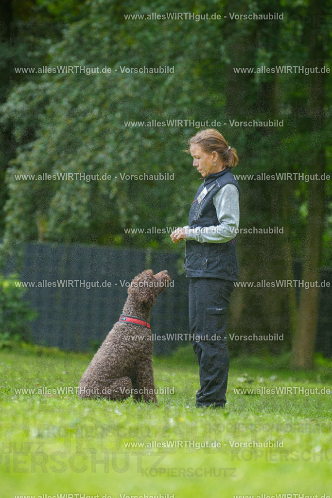 @allesWIRTHgut_Tierfotografie - www.allesWIRTHgut.de - 7R501084 | Professionelle Tierfotografie in Mönchengladbach von Daniel Wirth (allesWIRTHgut). Liebevolle & natürliche Bilder von Hunden & Katzen für unvergessliche Erinnerungen.