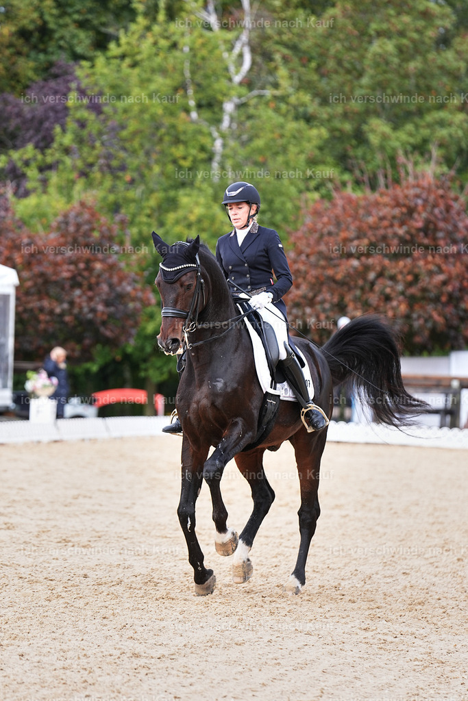 07-007-DRESSUR  S___  -Marixx-5135 | working equitationturnier fotograf videograf stoibphotography marixx film working equitation deutschland reitsport turnierfotografie eventfotografie equestrian events