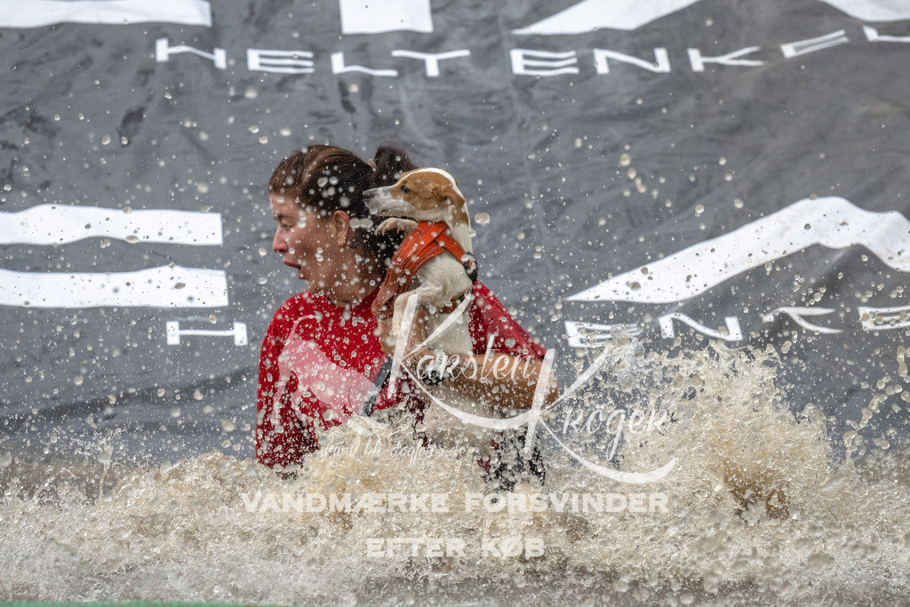 1603_ZZ92068 | kk-dogfotos