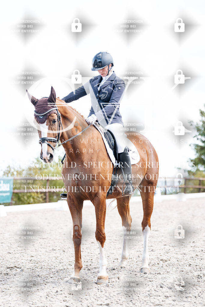 CK901904 | Turnierfotografie Pferdefotografie Trier Rheinland-Pfalz Pferdesport Reitsport Tierfotografie Sportfotografie Pferdevideo Pferdevideografie Equestrianvideography equestrianphotography  - Realisiert mit Pictrs.com