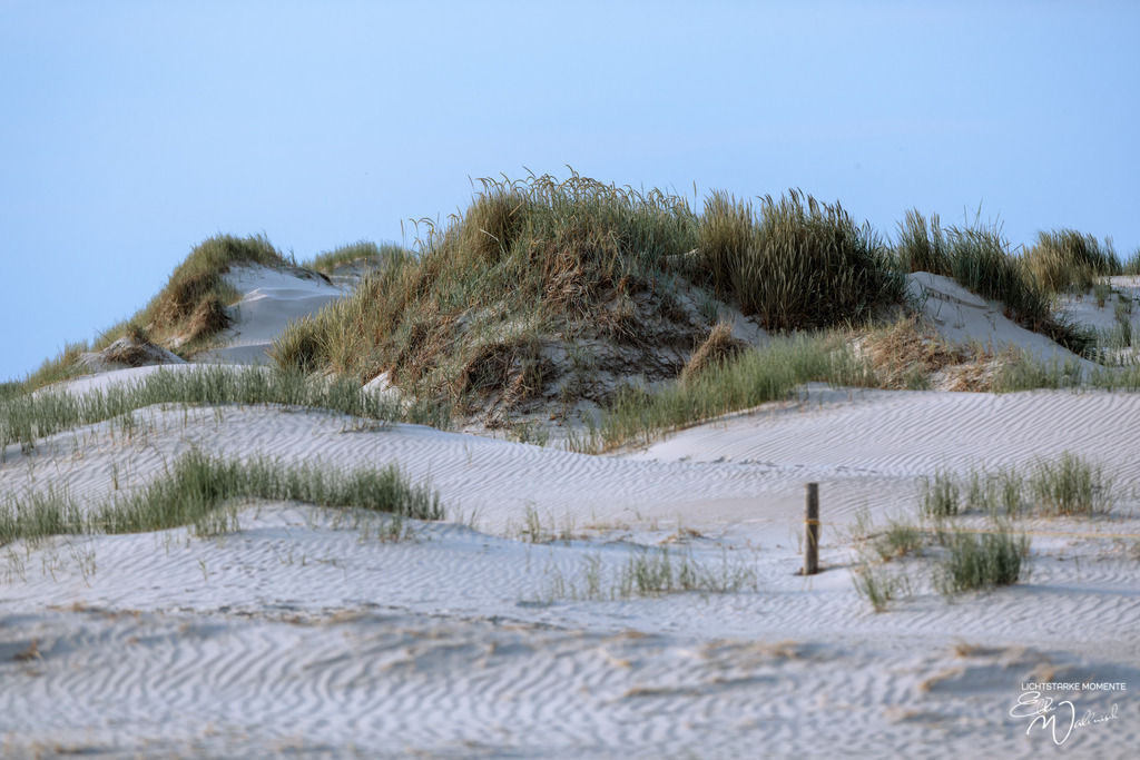 20230620-193643 NORDSEE SPO _020-1 | Herzlich willkommen auf meiner Seite! Ich bin Elke Wallnisch, Deine Fotografin für lichtstarke Momente. Der Name steht für alles, was mich mit der Fotografie verbindet: Das Licht und seine machtvolle Wirkung auf eine Situation oder unsere Stimmung - Realisiert mit Pictrs.com