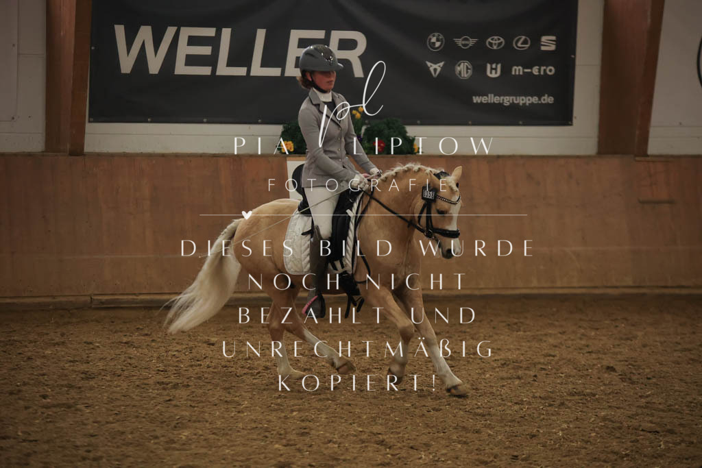 IMGT1190 | pl-fotografie