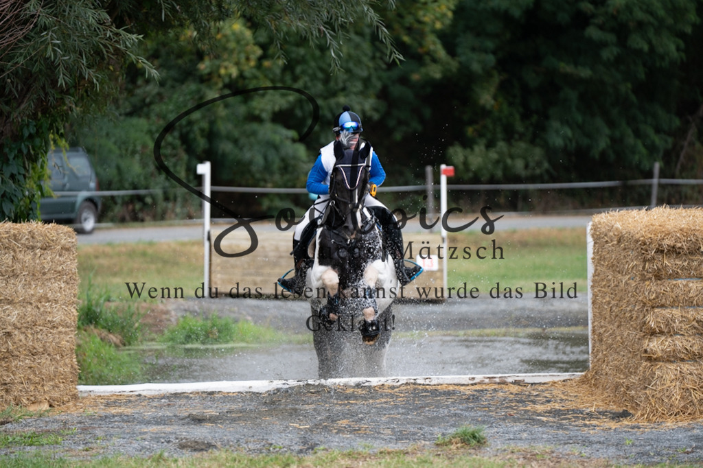 A7V00435 | Pferdefotograf