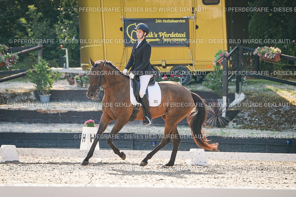 DSC08393 | Pferdegrafie