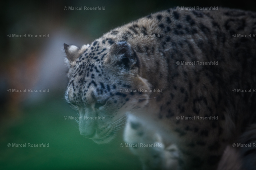 _DSC0283 | foto-rosenfeld