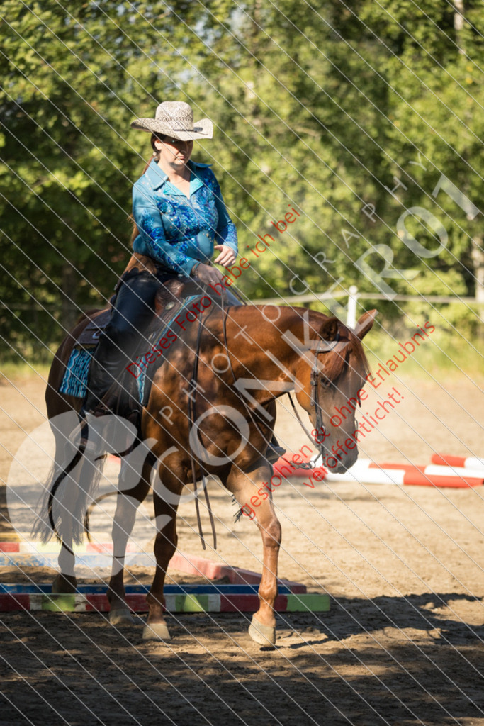 IMG_6934 | Sport-, Event- und Tierfotos in Profiqualität. Einfach auswählen, bestellen und herunterladen. Dein Moment – perfekt festgehalten.