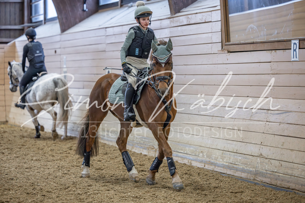 20260221-_3LI9476 | Tierfotografie Pferde, Hunde, Katzen, Haustiere.
Turnierfotografie Reitturniere, Reiten, Springreiten, Dressur in Hanau, dem Main-Kinzig-Kreis und dem Rhein-Main- Gebiet um Frankfurt