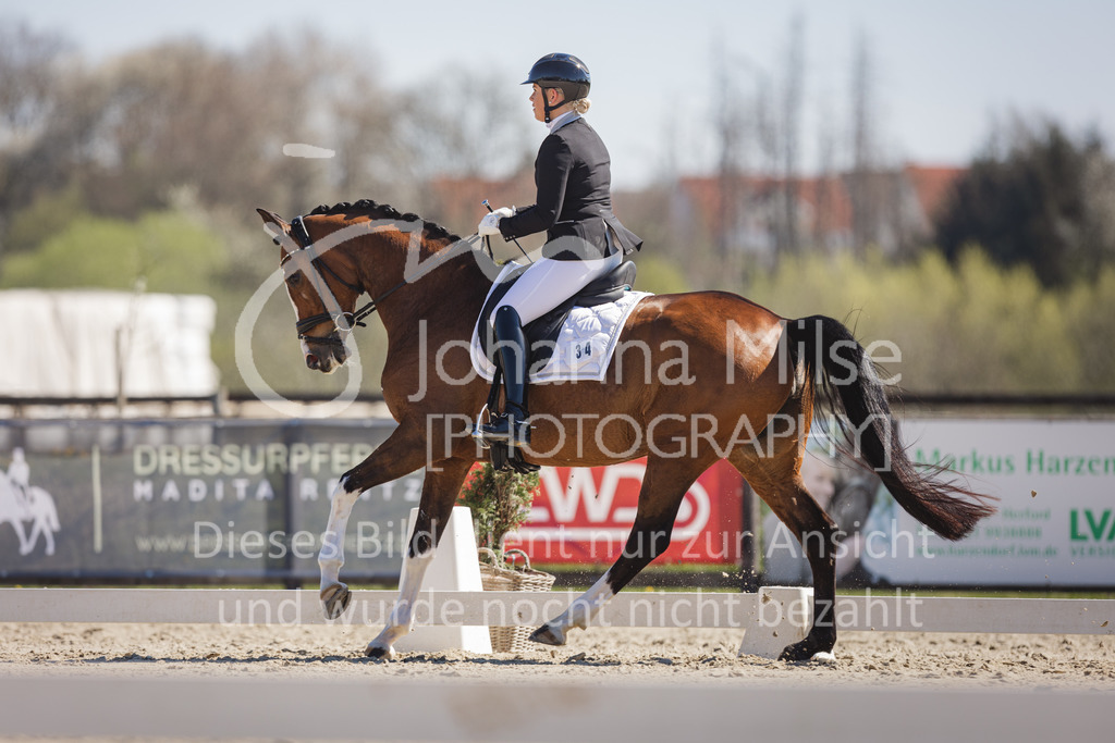 220418_Dressurpferde-L-121 | Frühlingsfest der Pferde
Herford
18.April 2022
Dressurpferdeprfg. Kl.L DL2