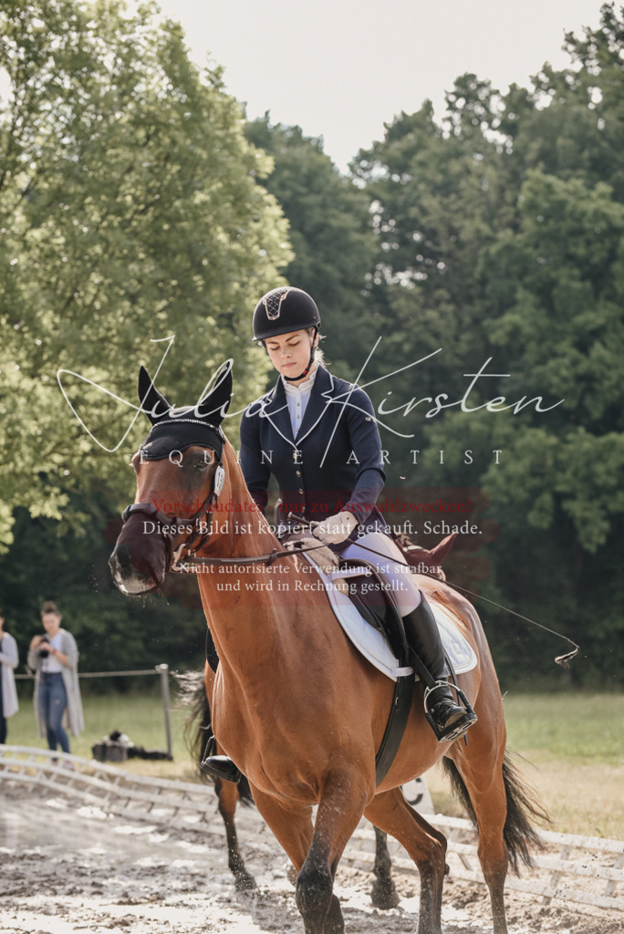 DSC_8456 | Pferde- und Turnierfotografie in Westsachsen. Pferdeportraits, Auftragszeichnungen und intuitive Kunst.