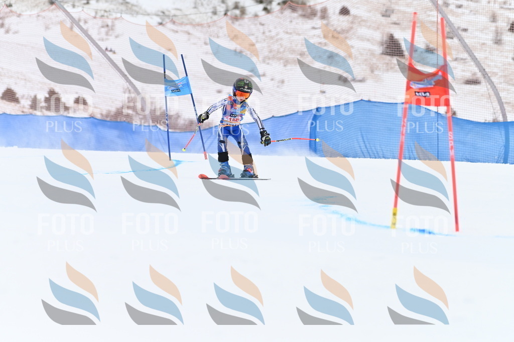 BGV_0002 | holidayphoto