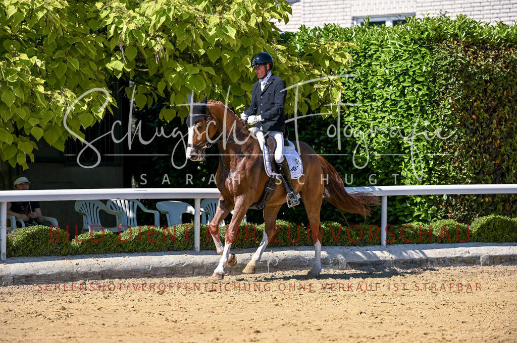 Schugtsche-Aluta25-50.Dressurpferdeprf.L-16 | Schugtsche Fotografie - Realisiert mit Pictrs.com