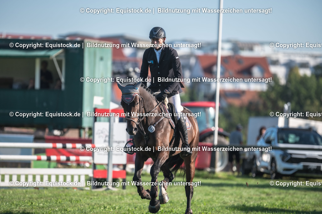 20230908_14-15_Springpferde-A_0010 | equistock