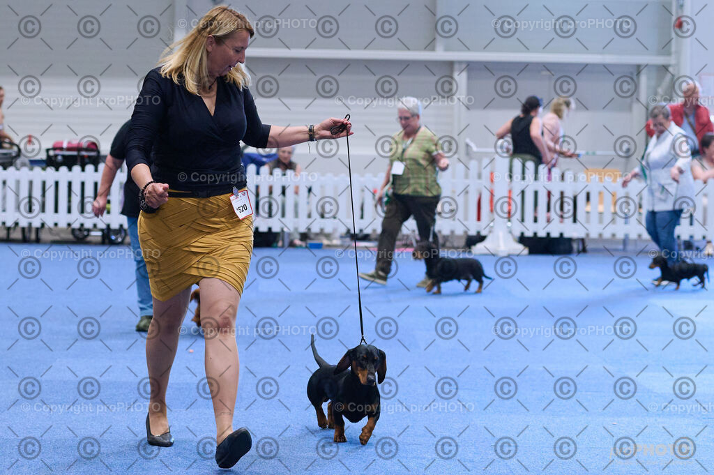 202406_ÖKV-IHA-Tulln24_DSC_3881 | proPHOTO - Realisiert mit Pictrs.com