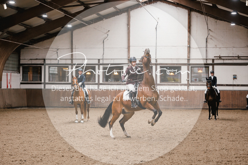 3I6A6939 | Stimmungsvolle Portraits und Reitsportfotografie im Ruhrgebiet und im Münsterland.

Pferdefotografie, Hundefotografie, Tierfotografie, Reportagen, Portraits von Tier und Mensch, Turnierfotografie in Bochum, Recklinghausen, Marl, Haltern am See, Dülmen.. - Realisiert mit Pictrs.com