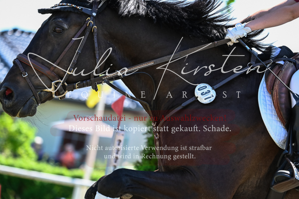 DSC_1161 | Pferde- und Turnierfotografie in Westsachsen. Pferdeportraits, Auftragszeichnungen und intuitive Kunst.