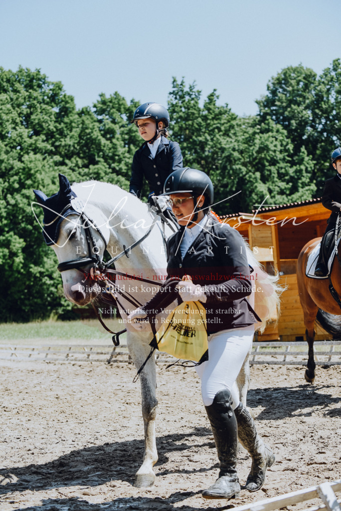 DSC_2374 | Pferde- und Turnierfotografie in Westsachsen. Pferdeportraits, Auftragszeichnungen und intuitive Kunst.