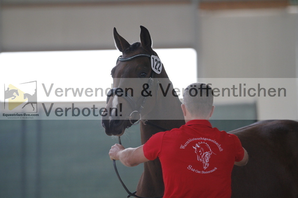 _MG_9542 | equestrian-live-com