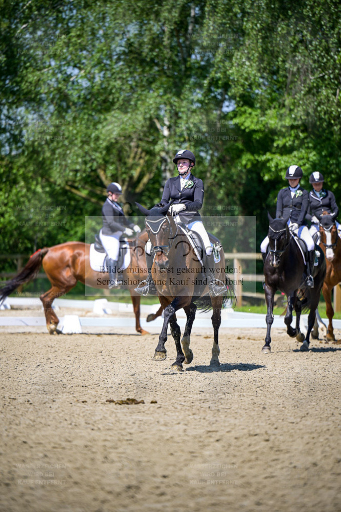 Reitturnier Lienen | Entdecke hochwertige Reitturnierfotos von Foto Oger. Professionell, emotional und authentisch – jetzt Lieblingsmomente im Shop bestellen. - Realisiert mit Pictrs.com
