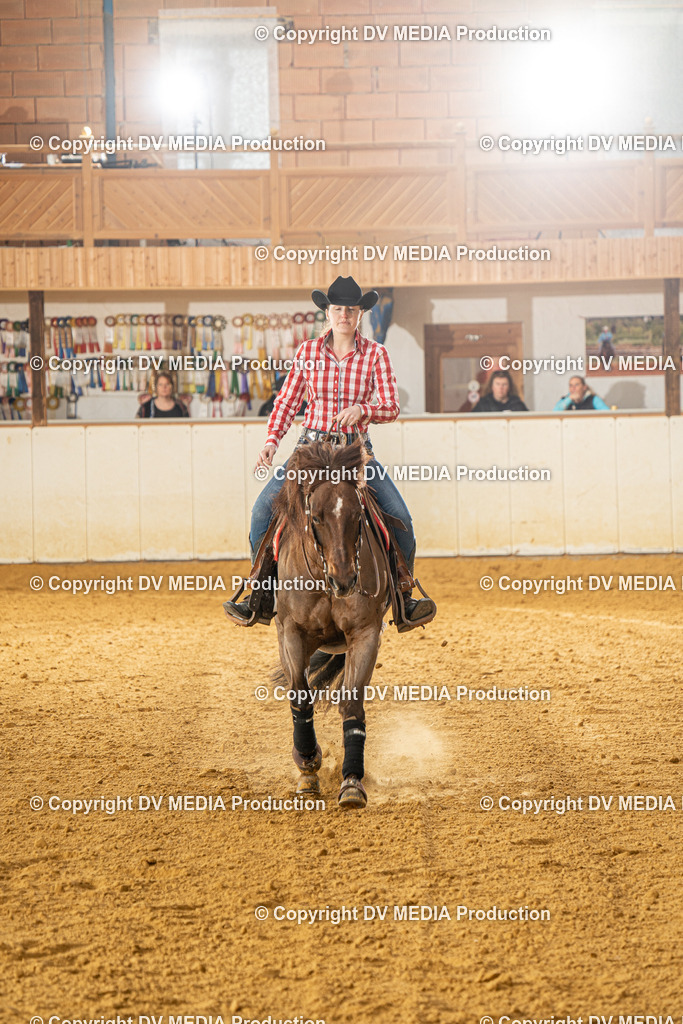 MIT00662 | dv-media-shop - Realisiert mit Pictrs.com