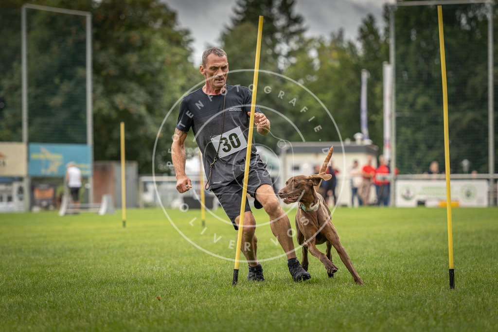Pfotenfotografie_DV3A8374 | Hundefotografie, Tierfotograf, Pfotenfotografie, Fotoshooting Hund, Hunde Portrait, Hundesport, Hundeportraits, Heideshooting, Hunde, Sportfotograf, Hundefotograf, Turnierhundsport, THS,  - Realisiert mit Pictrs.com