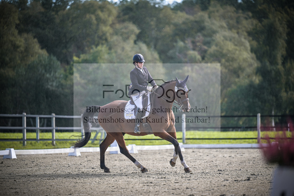DOS_1000 | Entdecke hochwertige Reitturnierfotos von Foto Oger. Professionell, emotional und authentisch – jetzt Lieblingsmomente im Shop bestellen.Deutschlandweite Turnierfotografie. - Realisiert mit Pictrs.com