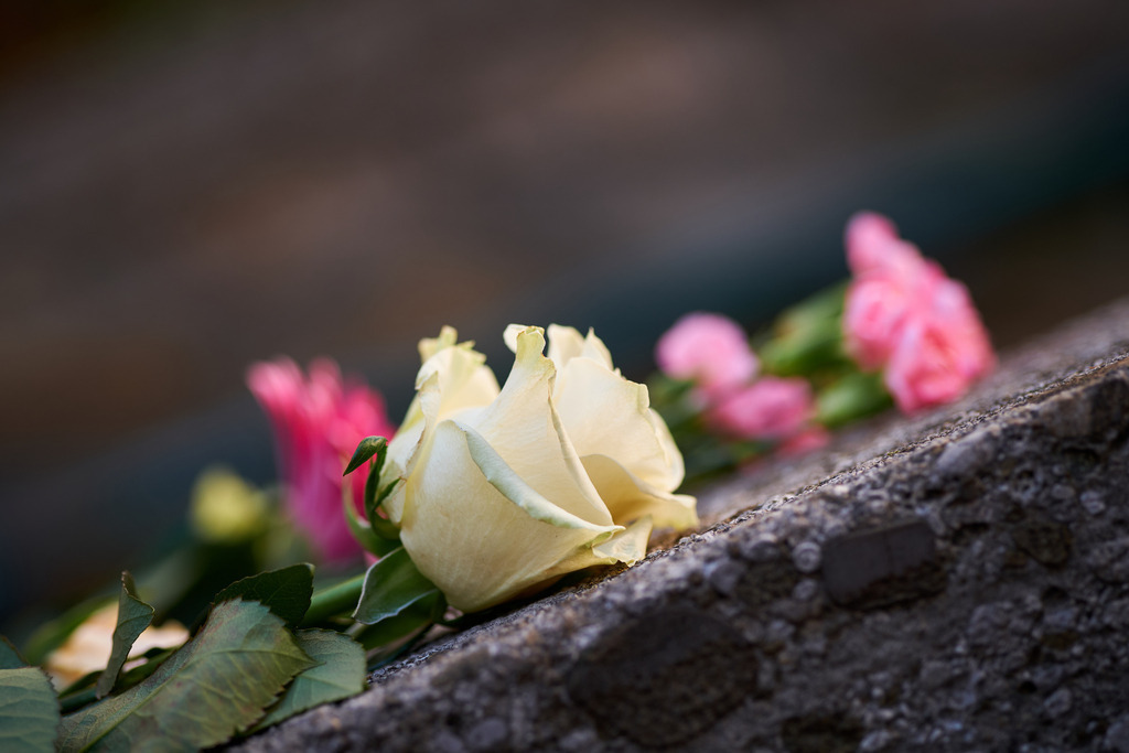 verschiedene Blumen an der Jerusalemstiege | Wien, Austria - November 06, 2020: Gedenken an den Terroranschlag vom 02.11.2020, verschiedene Blumen an der Jerusalemstiege. - Realisiert mit Pictrs.com