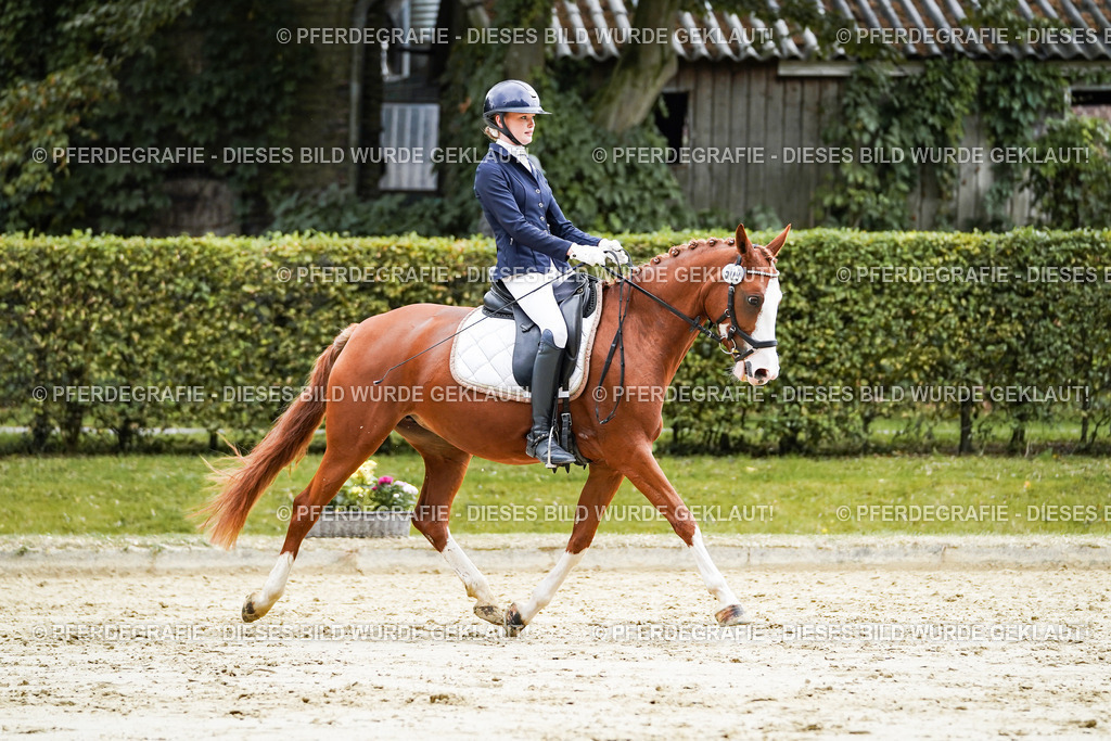 DSC07521 | Pferdegrafie