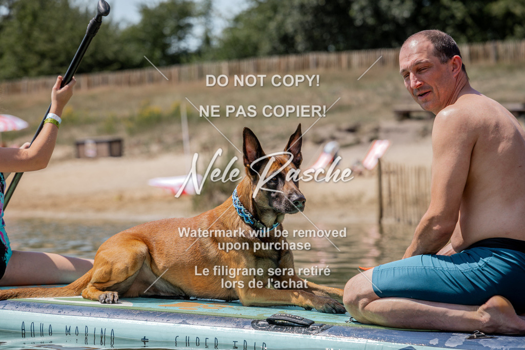nelerasche_saSUP1_93 | nelerasche