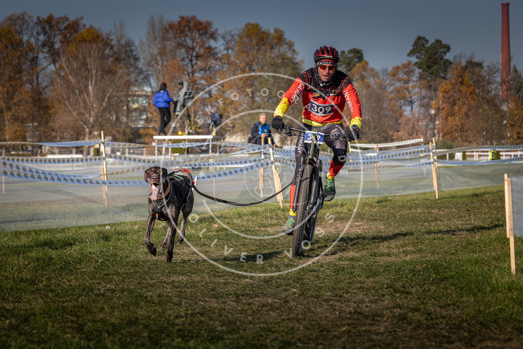 CaniXpix_0L8A7553 | Hundefotografie, Tierfotograf, Pfotenfotografie, Fotoshooting Hund, Hunde Portrait, Hundesport, Hundeportraits, Heideshooting, Hunde, Sportfotograf, Hundefotograf, Turnierhundsport, THS,  - Realisiert mit Pictrs.com