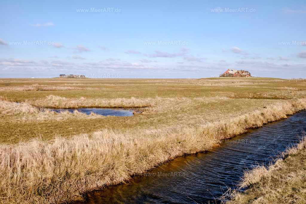 Hallig Langeneß | Die Hallig Langeneß im nordfriesischen Wattenmeer - Realisiert mit Pictrs.com