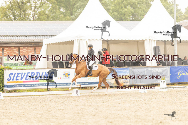 SW 4-868 | mandyhollmannphotographie