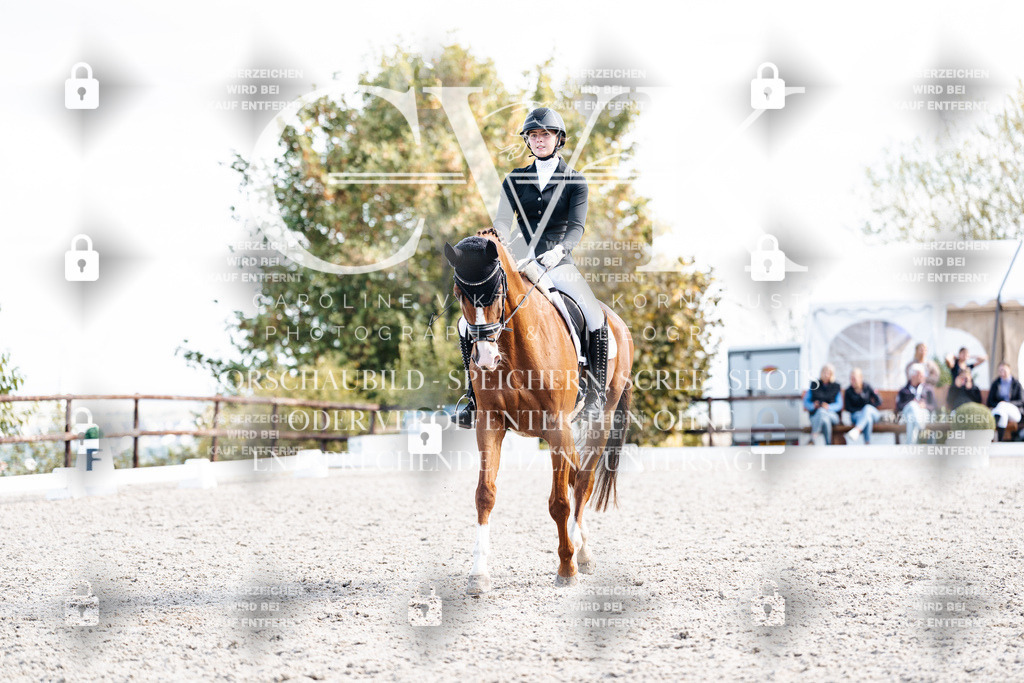 CK902178 | Turnierfotografie Pferdefotografie Trier Rheinland-Pfalz Pferdesport Reitsport Tierfotografie Sportfotografie Pferdevideo Pferdevideografie Equestrianvideography equestrianphotography  - Realisiert mit Pictrs.com