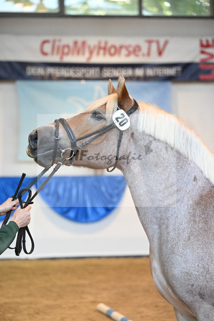 Kat-Nr. 20 Helene_Eheleute Fassbender_53221066 | hf-fotografie - Realizzato con Pictrs.com