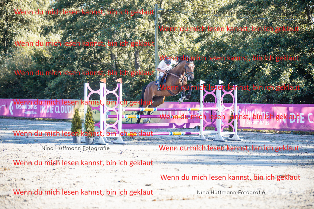 BK1A6158 | Turnierbilder Turnierfotos Nina Hüffmann Turnierfotografie Pferdefotografie Tierzeichnung Haustierzeichnung Pferdezeichnung Hundezeichnung Videograf  - Realisiert mit Pictrs.com