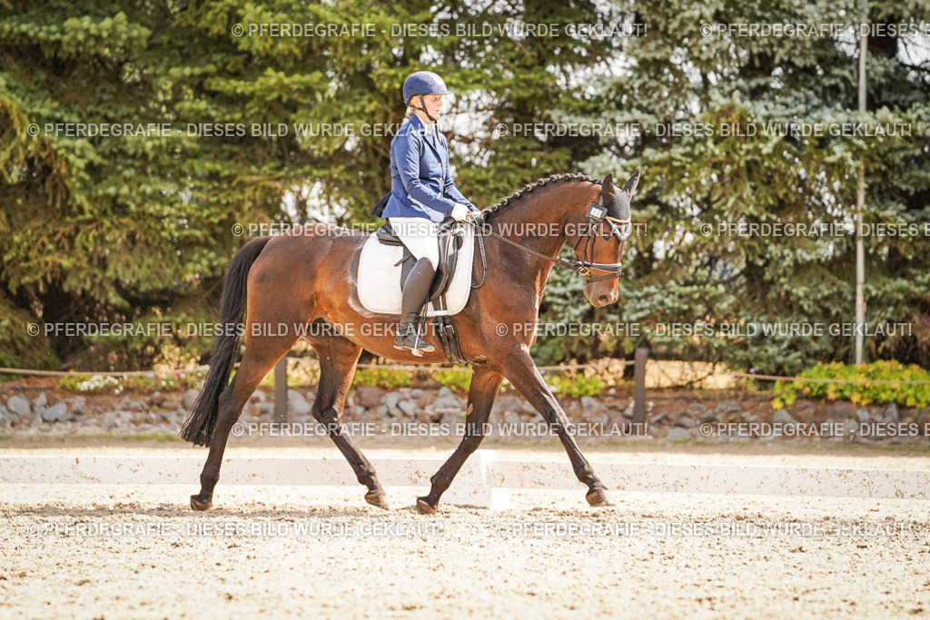 DSC01433 | Pferdegrafie