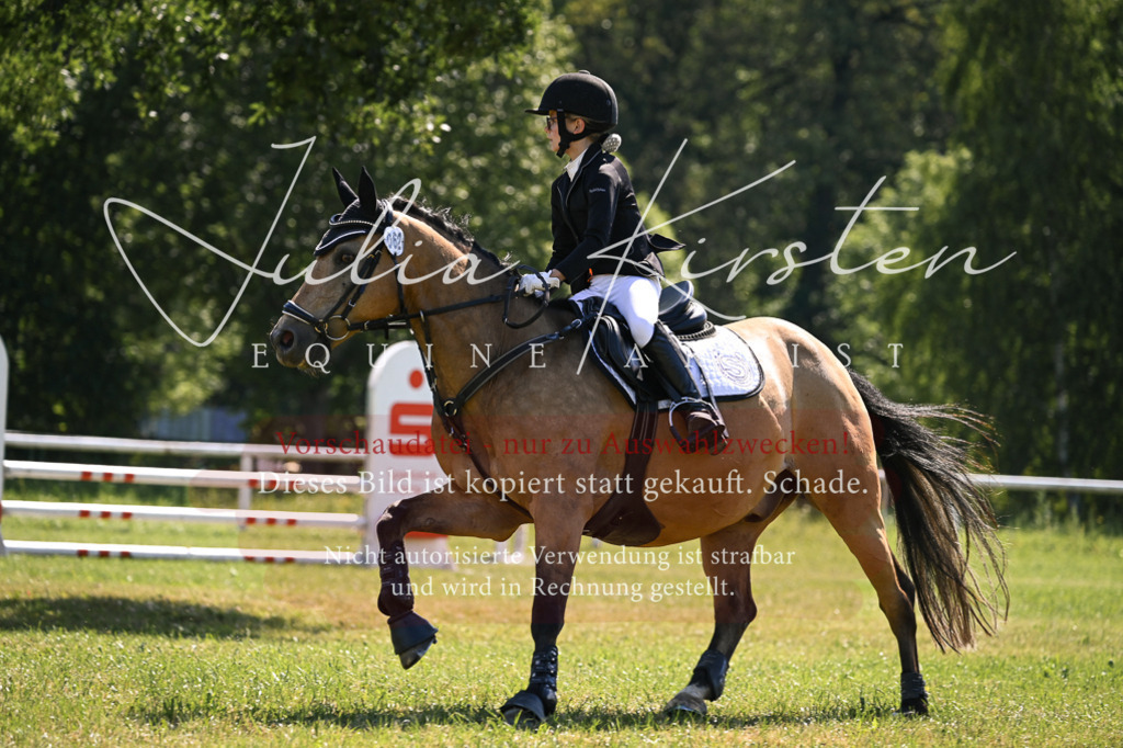 DSC_8809 | Pferde- und Turnierfotografie in Westsachsen. Pferdeportraits, Auftragszeichnungen und intuitive Kunst.
