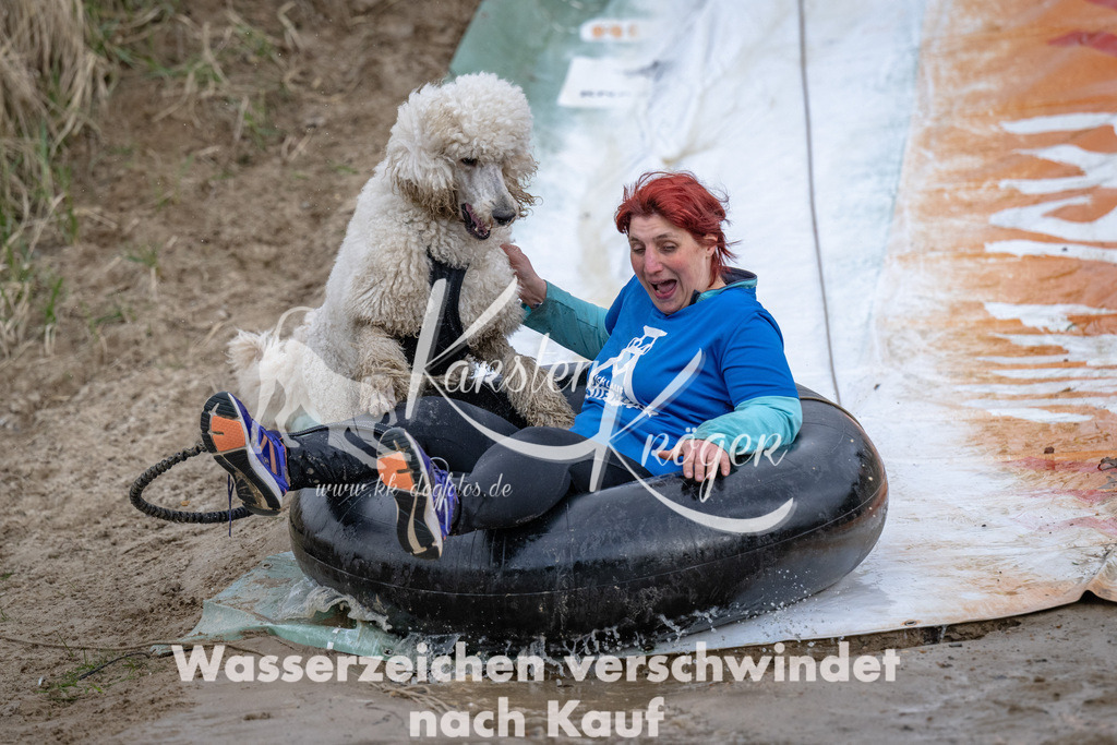 1531_ZZ94030 | kk-dogfotos