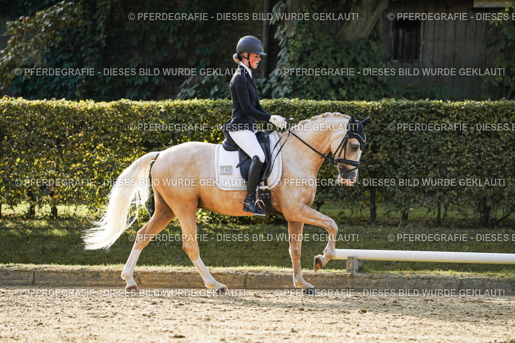 DSC04930 | Pferdegrafie