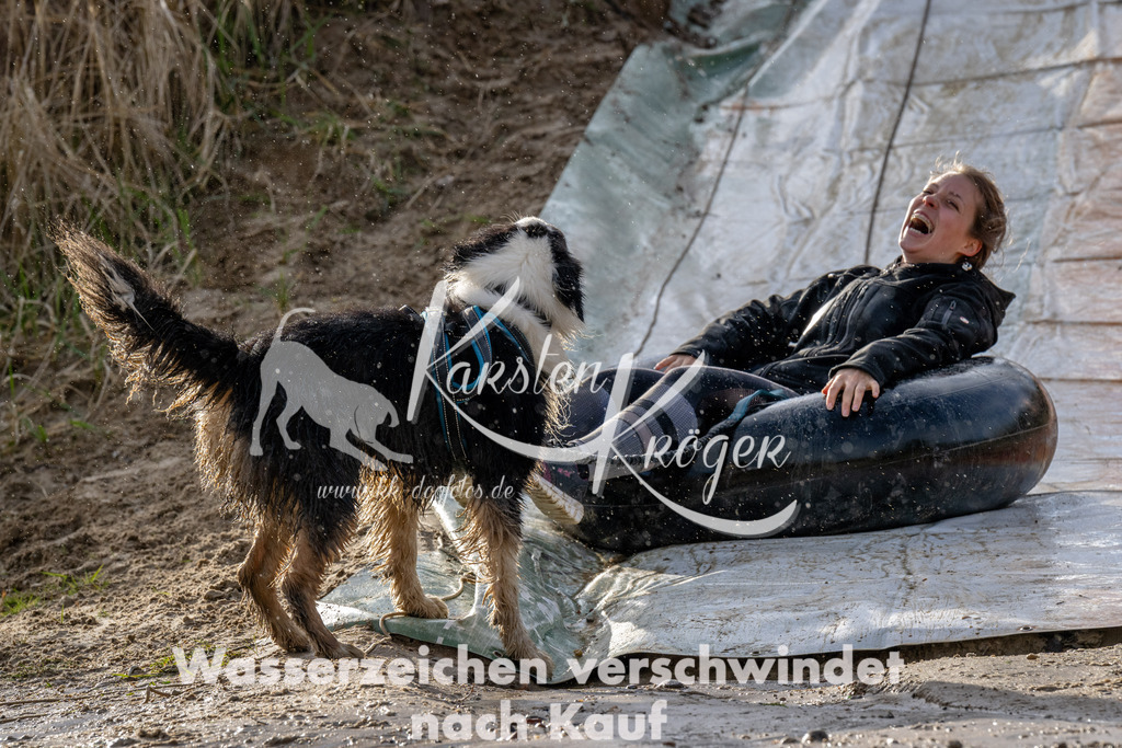 1621_ZZ90517 | kk-dogfotos