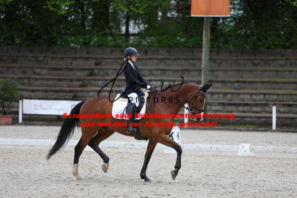 A40A9325 | lmwpictures - Realisiert mit Pictrs.com