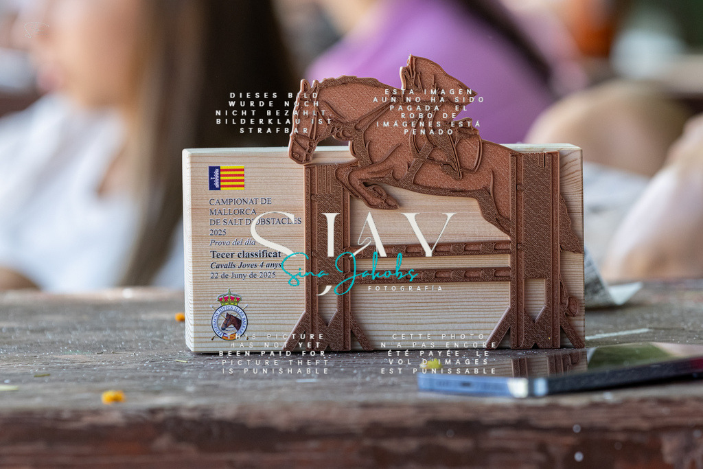 IMG_8109 | s-jay-photography - Realisiert mit Pictrs.com